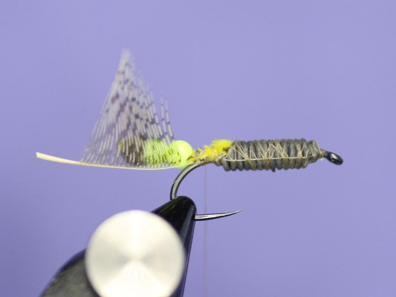 Cased Caddisfly Nymph How to tie fly, Fly tying Step by Step Patterns